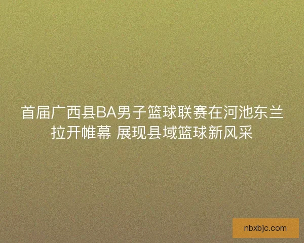 首届广西县BA男子篮球联赛在河池东兰拉开帷幕 展现县域篮球新风采