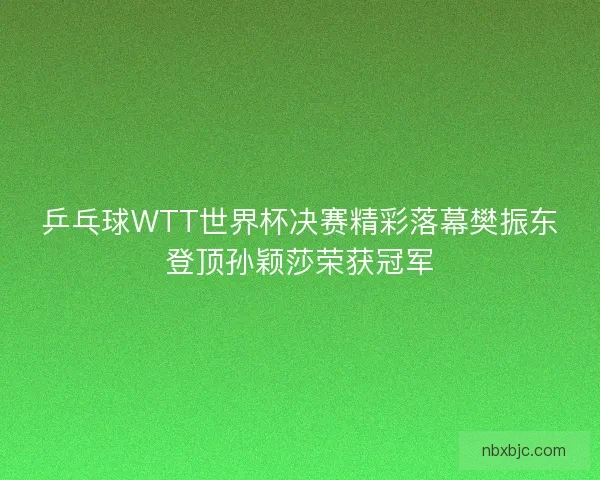 乒乓球WTT世界杯决赛精彩落幕樊振东登顶孙颖莎荣获冠军