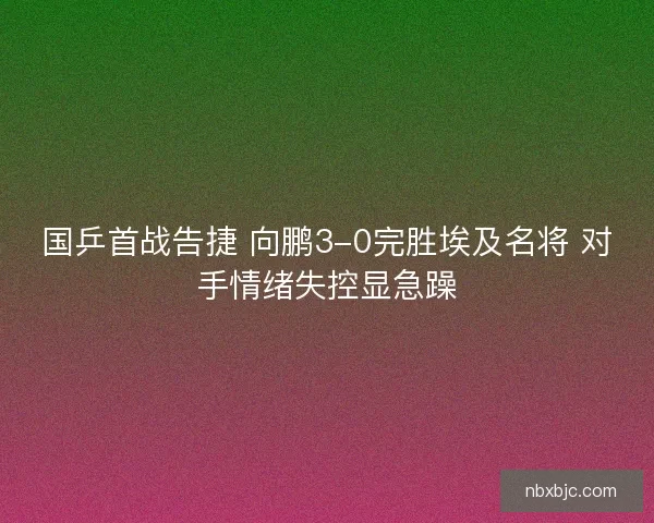 国乒首战告捷 向鹏3-0完胜埃及名将 对手情绪失控显急躁 国乒首战告捷 向鹏3-0完胜埃及名将 对手情绪失控显急躁