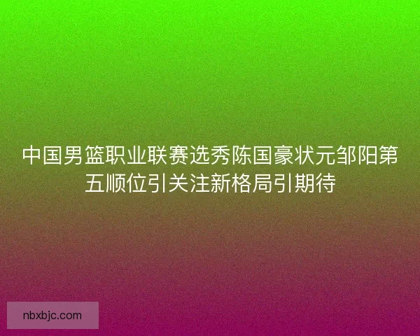 中国男篮职业联赛选秀陈国豪状元邹阳第五顺位引关注新格局引期待